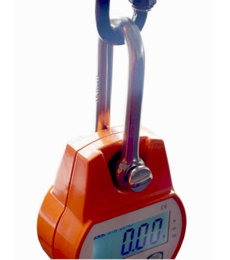 OCS-L Crane Scale