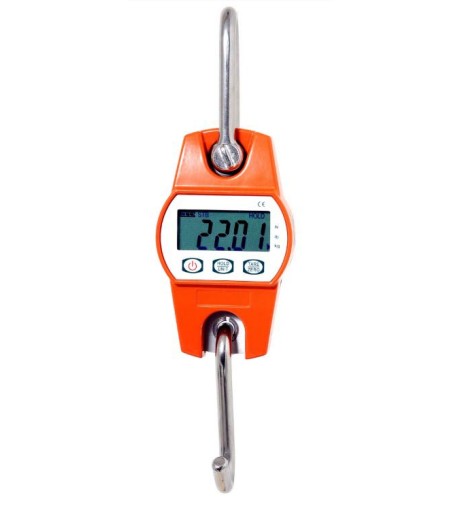 OCS-L Crane Scale