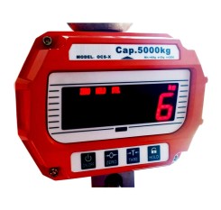 OCS-X Crane Scale