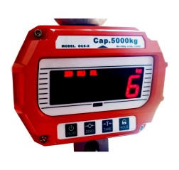 OCS-X Crane Scale