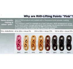 RUD PowerPoint PP-B Swivel Eye Bolt 